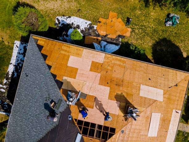 Best New Roof Installation  in Newport News, VA