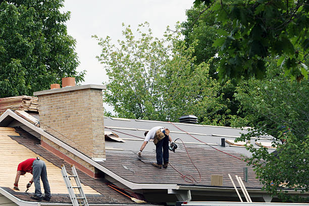 Best Roof Gutter Cleaning  in Newport News, VA