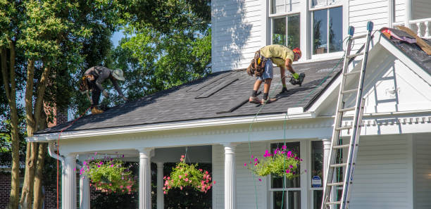 Best Flat Roof Repair Services  in Newport News, VA